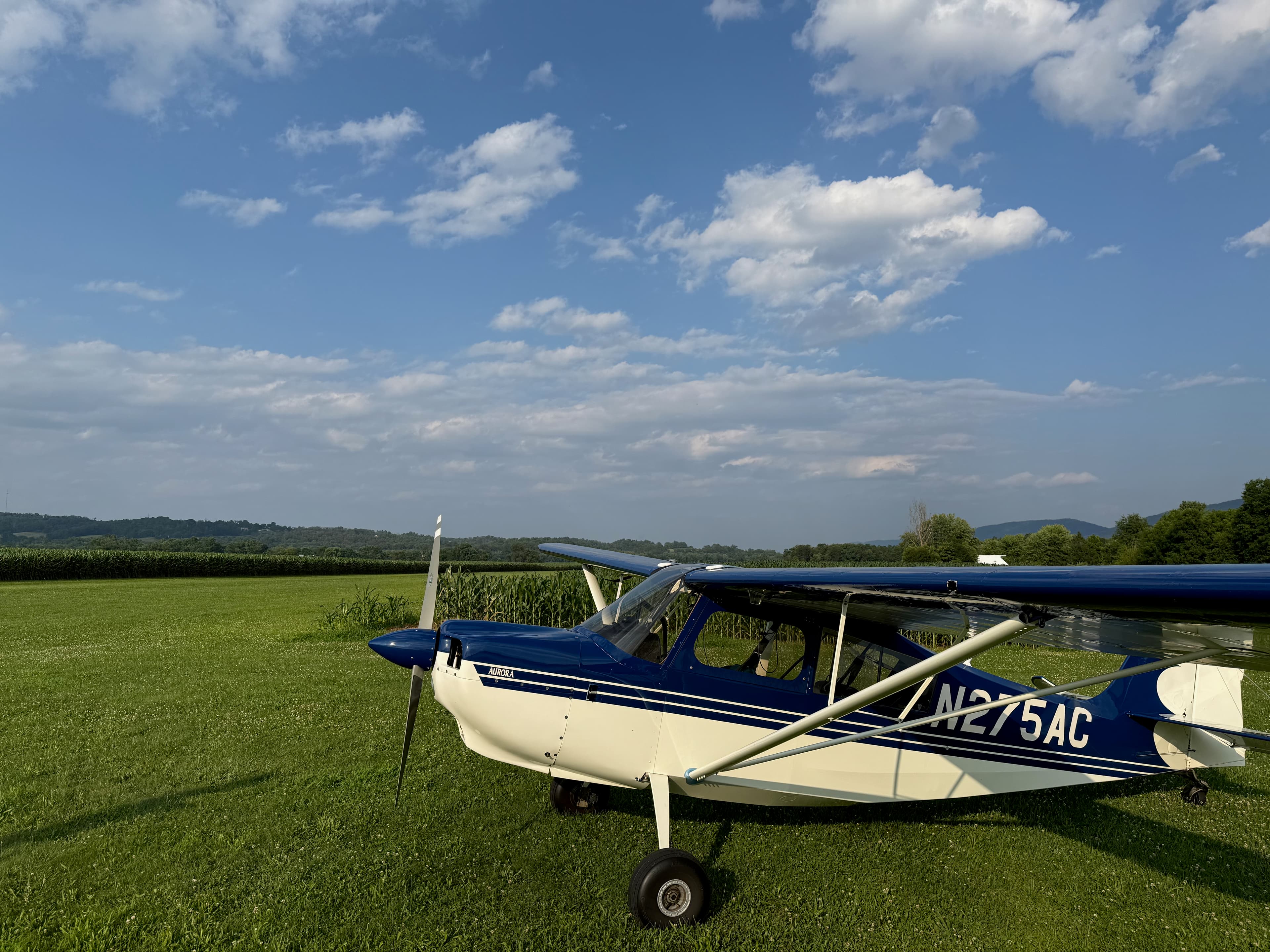 Tailwheel